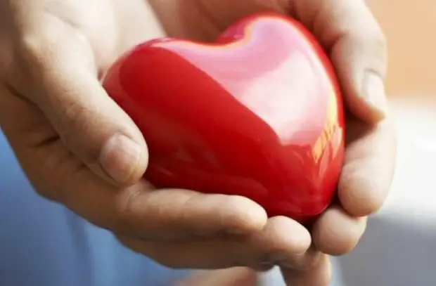 Обследования сердца, которые необходимо проходить регулярно