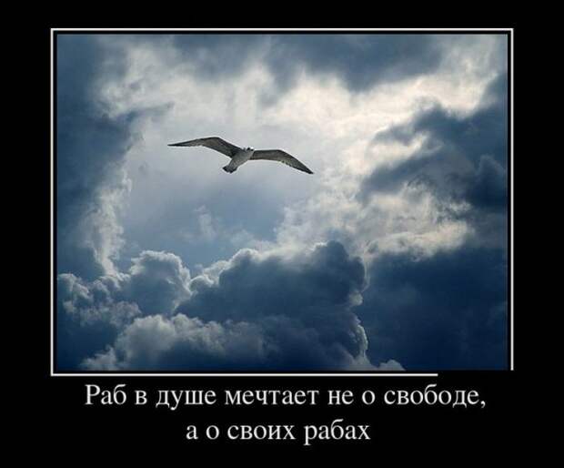 Демотиваторы (30 фото)