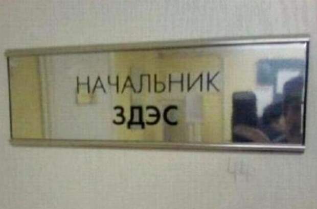 А эти должности просто поражают воображение А эти должности просто поражают воображение прикол, работа, юмор