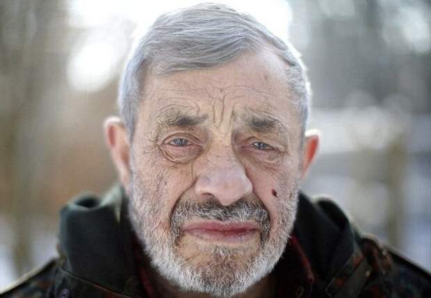 Парк волков Вернера Фройнда (15 фото) Парк волков Вернера Фройнда (15 фото)