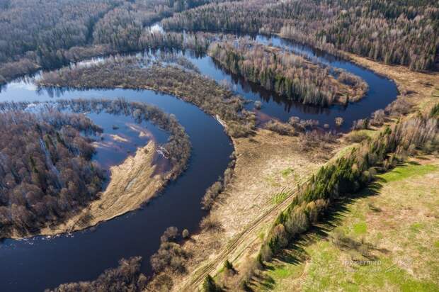 На севере Пермского края в реку Колву впадает удивительная река Вишерка
