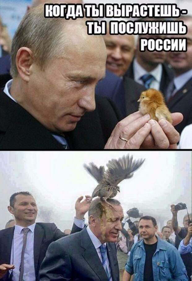 Смешные Фотографии Путина