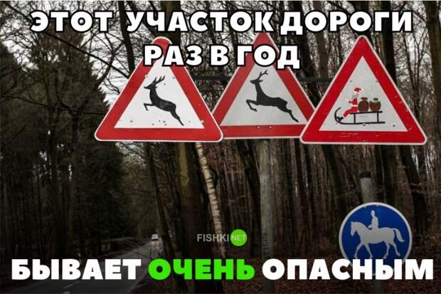 Этот участок дороги раз в год бывает очень опасным авто, автомобили, автоприкол, автоприколы, подборка, прикол, приколы, юмор