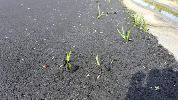 Прикольные картинки. Вечерний выпуск (52 фото)