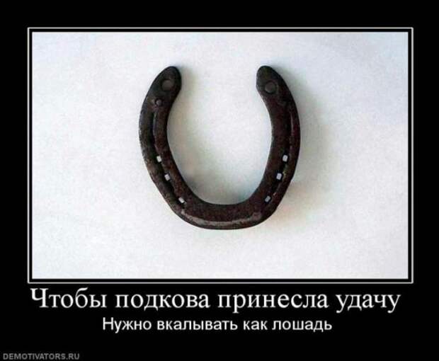 Демотиваторы