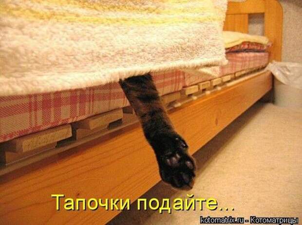 Мысли вслух :)