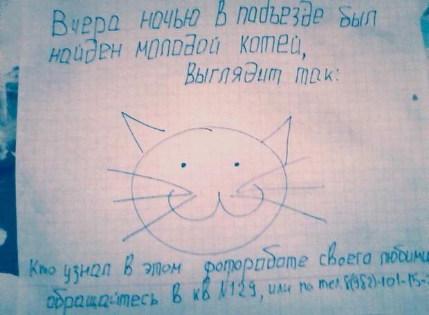 20 объявлений, которыми мы гордимся объявления, смешно