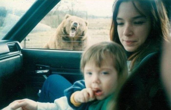 Животные фотобомбы - прикольные зверьки Животные фотобомбы - прикольные зверьки