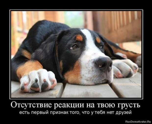 демотиваторы со смыслом обо всем.
