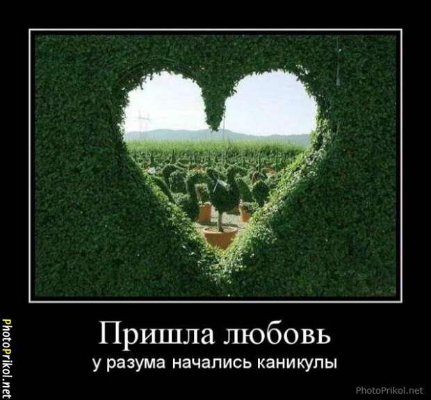 Демотиваторы про любовь (40 демотиваторов) Демотиваторы про любовь (40 демотиваторов)