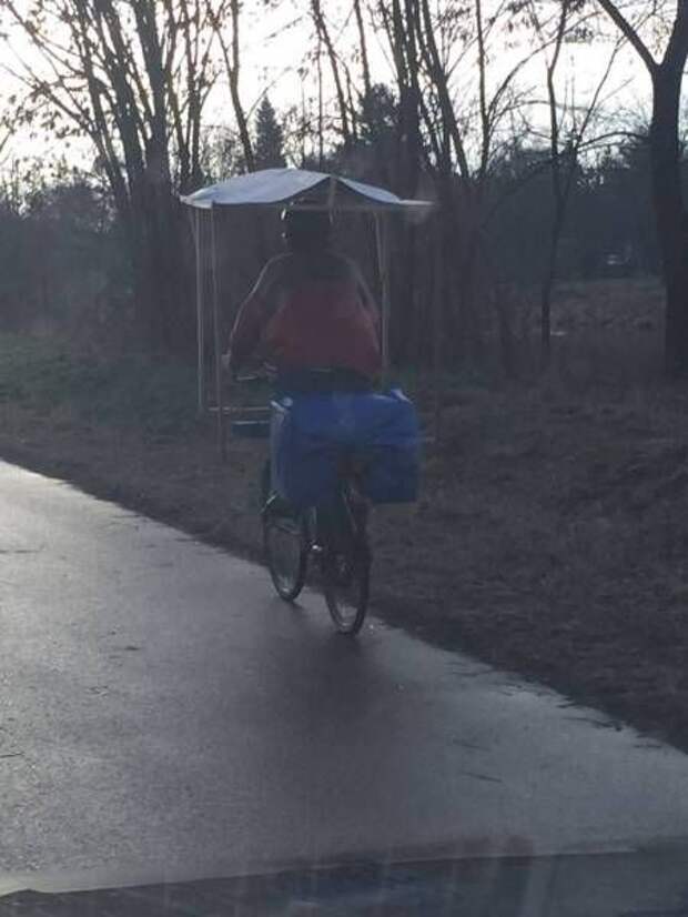 Прикольные картинки. Дневной выпуск (59 фото)