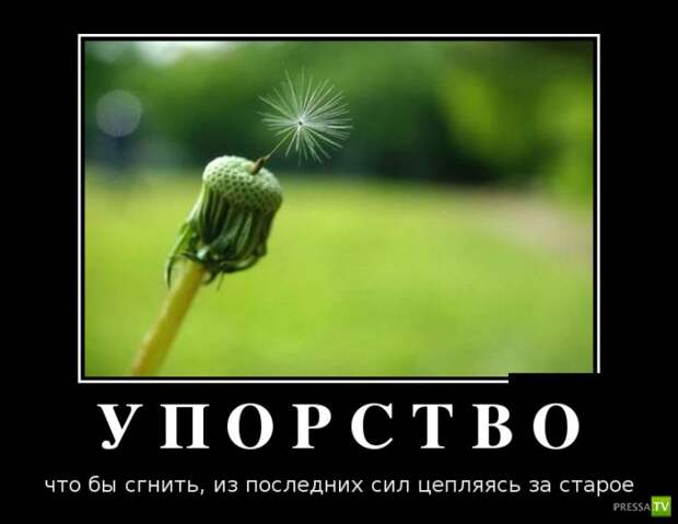 Демотиваторы на июнь, часть 9 (31 фото) Демотиваторы на июнь, часть 9 (31 фото)