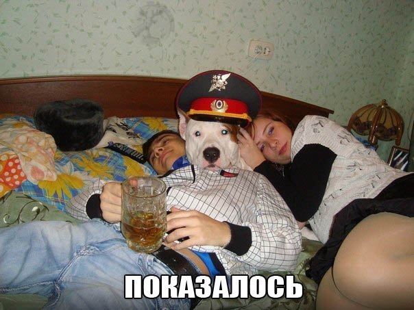Всяко - разно 12 )))