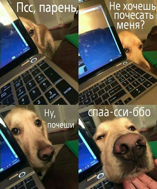 ПОДБОРКА ФОТОПРИКОЛОВ № 307 ПОДБОРКА ФОТОПРИКОЛОВ № 307