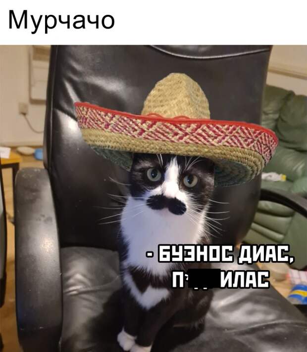 Смешные картинки вечер 25 января 2021