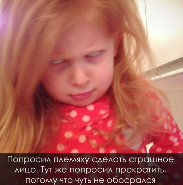 Смешные картинки с подписями катинки, прикол, юмор