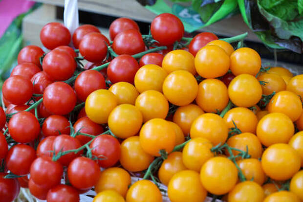 Очередная афера: в МВД предупредили о новой схеме мошенников с совместной закупкой продуктов