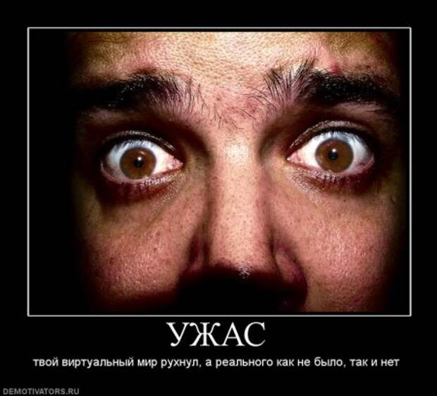 Демотиваторы смысл