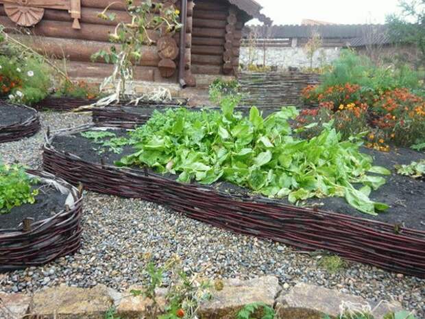 планируем ленивые грядки в огороде планируем ленивые гр…