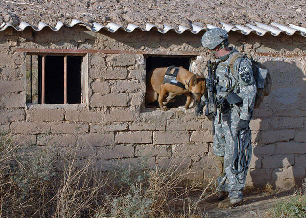 10 фактов о запахах