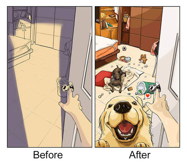 Life Before And After Getting A Dog (9 Pics)