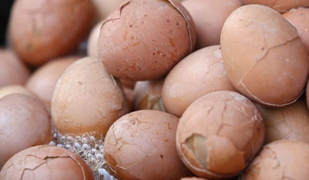 Urine-soaked-egg