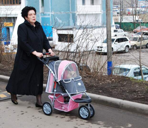 вся правда о независимых женщинах 