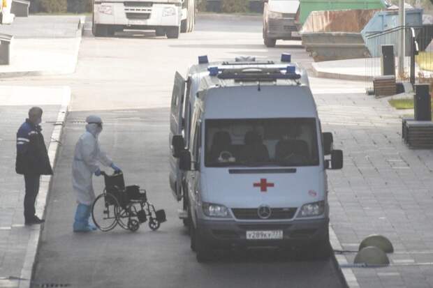 Раскрыты подробности смерти новорождённого в Ленобласти