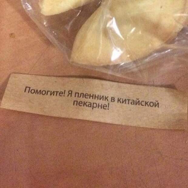Иногда серьезные вещи воспринимают как шутку Иногда серьезные вещи воспринимают как шутку прикол, юмор
