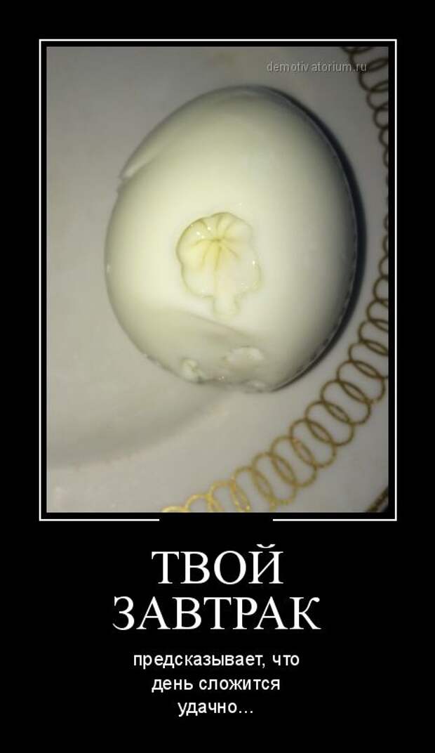 Демотиваторы (30 фото)