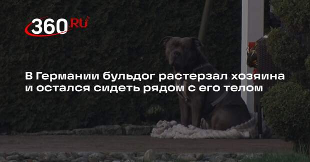 В Германии бульдог растерзал хозяина и остался сидеть рядом с его телом