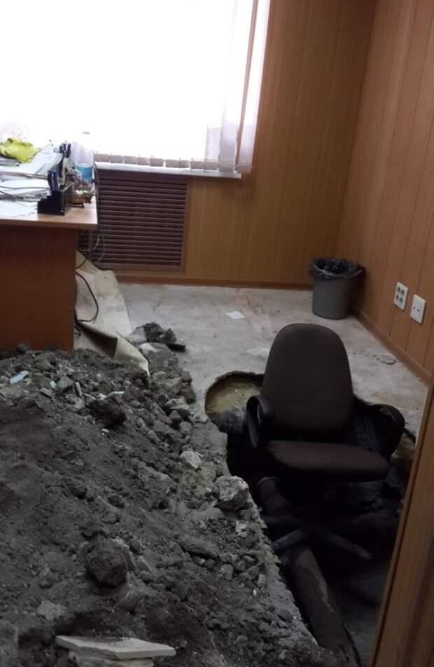 Прикольные картинки (91 фото)