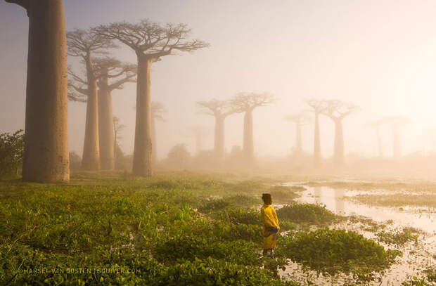 national-geographic-photo-of-the-day-internet-favorites-2015-33__880