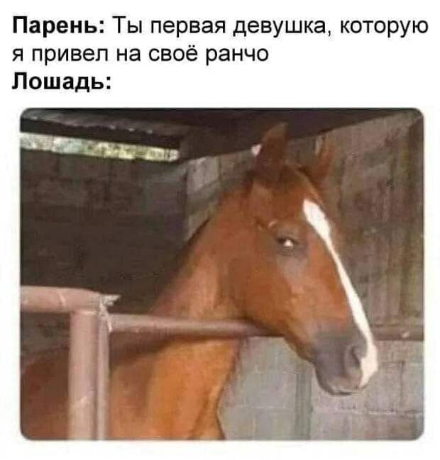 Мемы и приколы про &quot;это&quot;