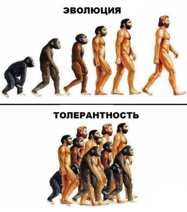 51 демотиваторы, прикол, юмор