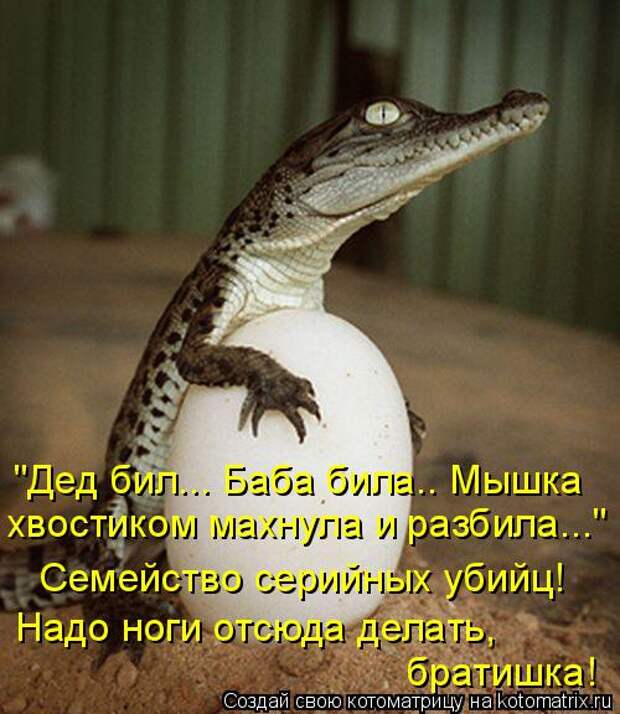 Котоматрица: "Дед бил... Баба била.. Мышка  хвостиком махнула и разбила..." Семейство серийных убийц! Надо ноги отсюда делать,  братишка!