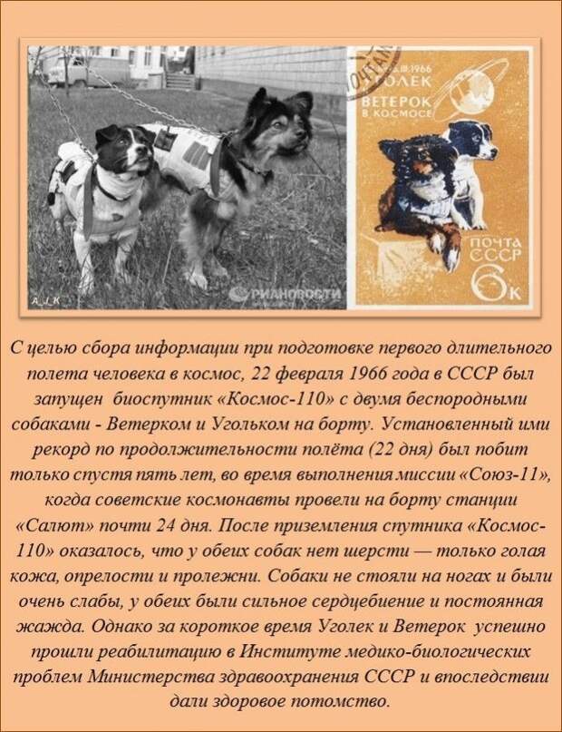 Интересное и познавательное факты, картинки, интересное