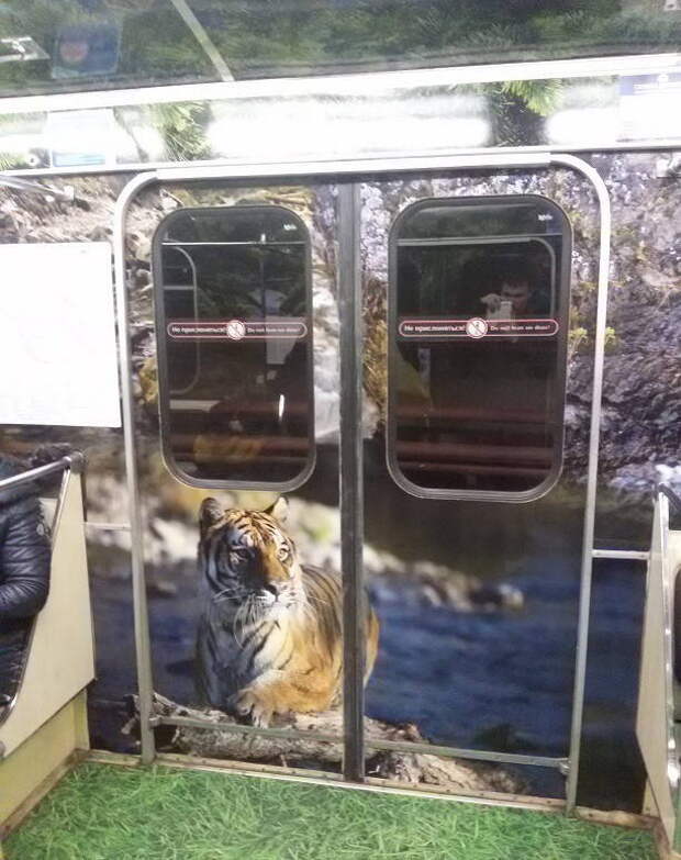 Красота в Московском метро : дизайнерский интерьер вагонов дизайн, метро