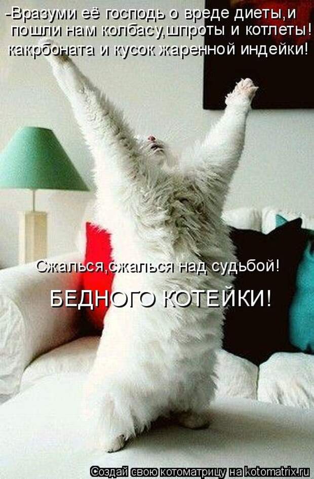 Котоматрица