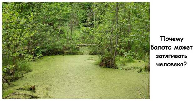 Почему болото может затягивать человека?