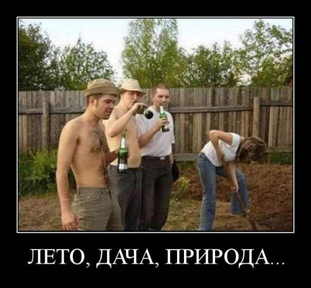 Демотиваторы " 101 %" 30/03/12