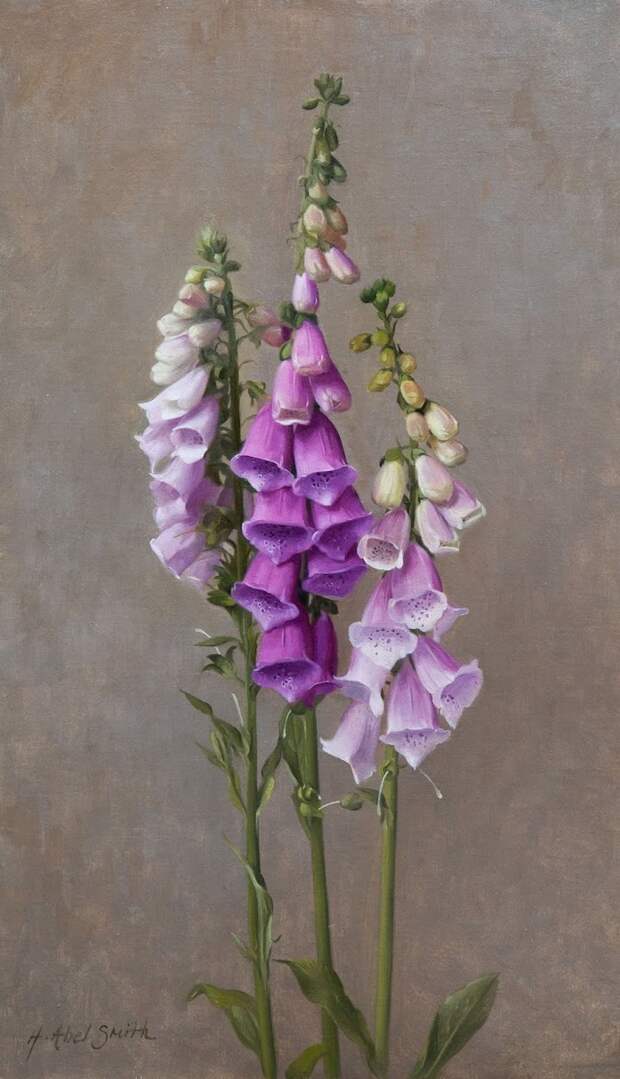 Художник Henrietta Abel Smith