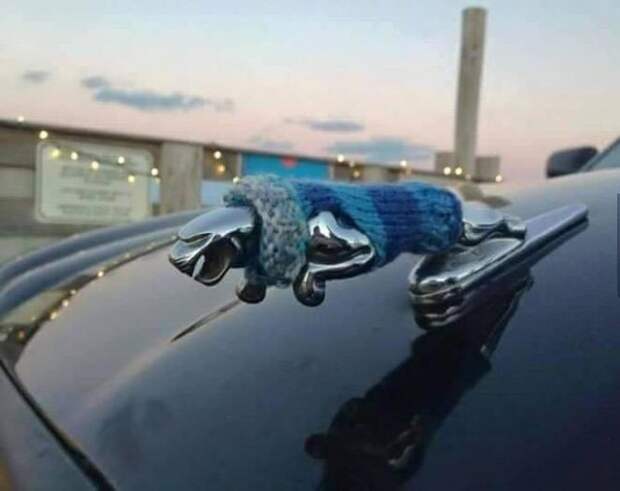 5. 5. авто, автоприколы, приколы