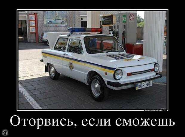 Спасибо женщинам за эволюцию! 36