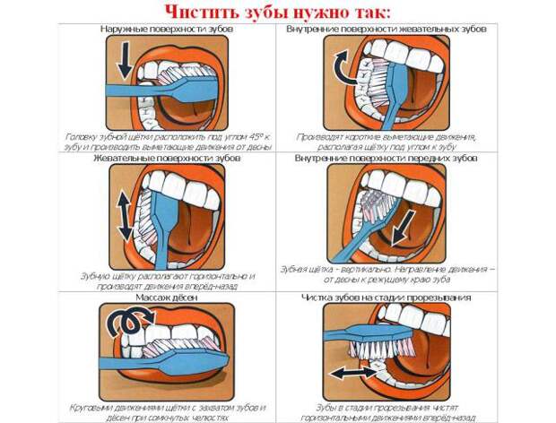 Kak-chistit-zubyi.jpg