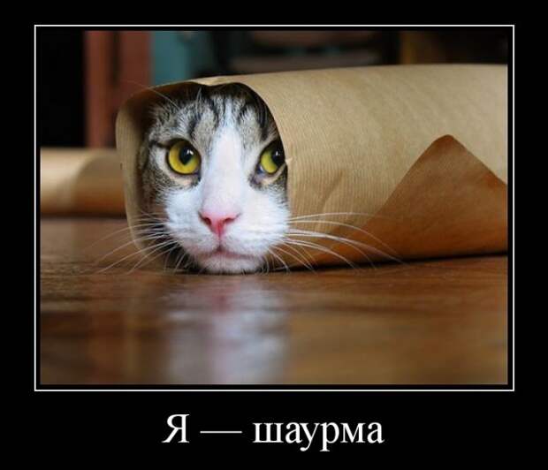 Демотиваторы - 989 Демотиваторы - 989