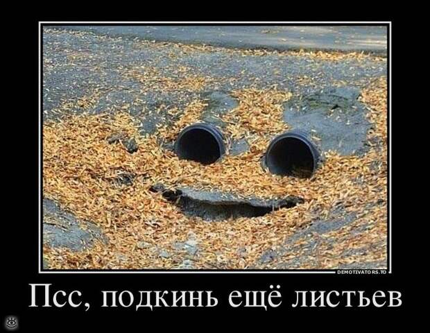 Демки заказывали? 0