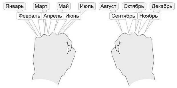 Забываете в каком месяце года 30, а в каком 31 день?