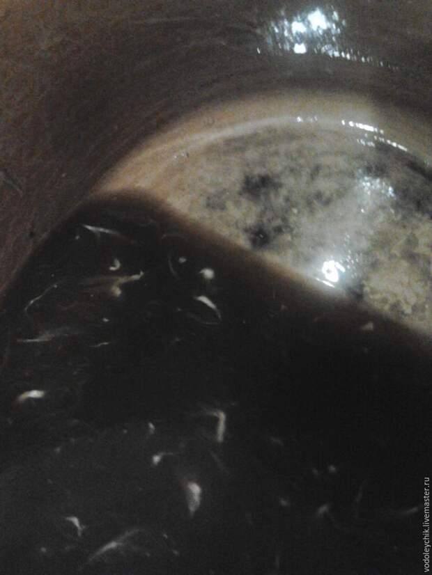 сон сон