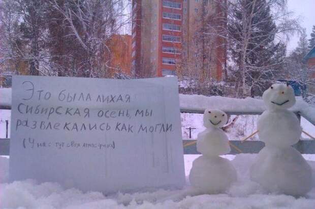 Хлопья снежные над городом кружатся, тихим шорохом нам под ноги ложатся) Хлопья снежные над городом кружатся, тихим шорохом нам под ноги ложатся) жизнь, мороз, прикол, сибирь